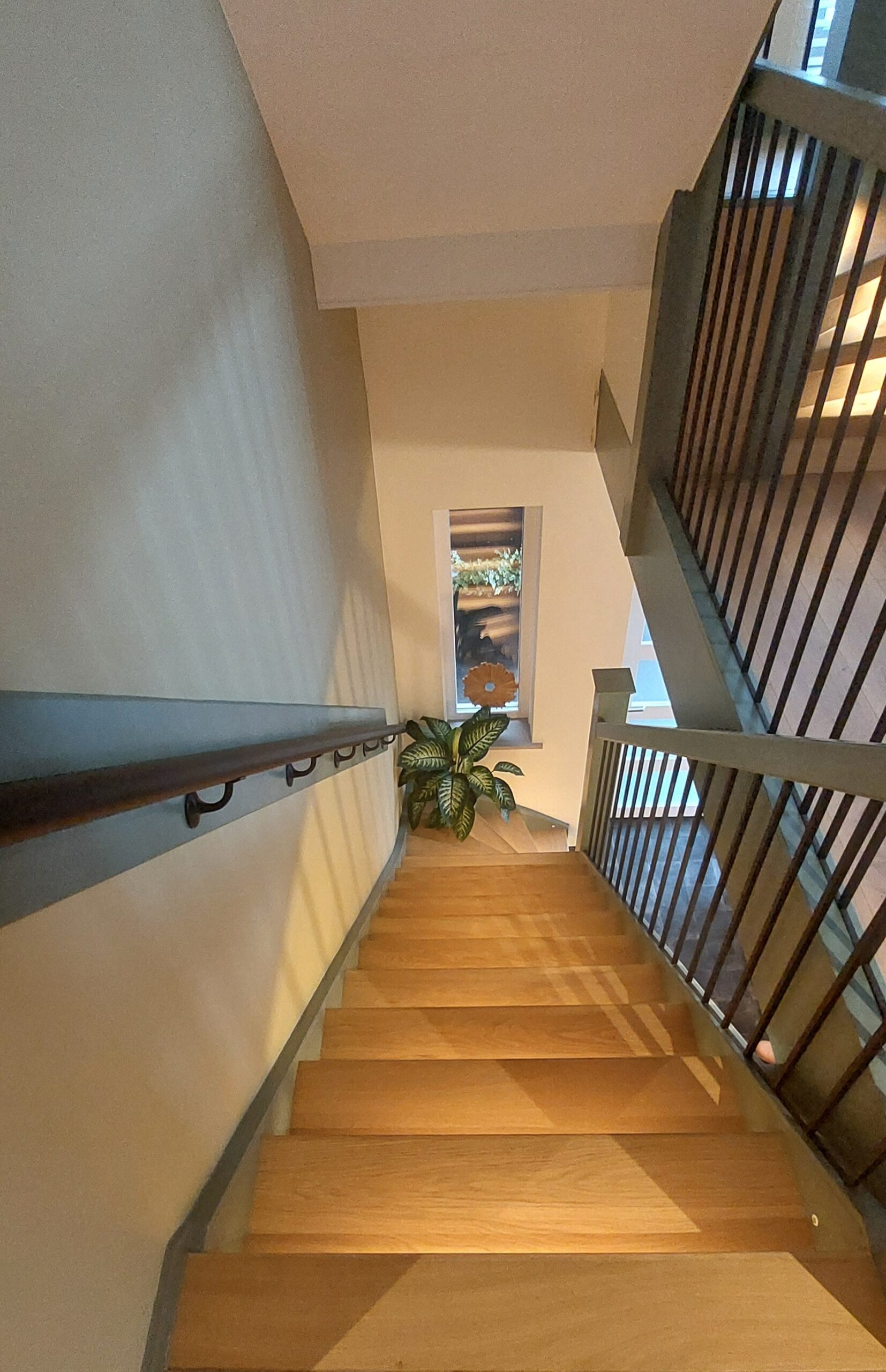 Trap met eiken overzettreden